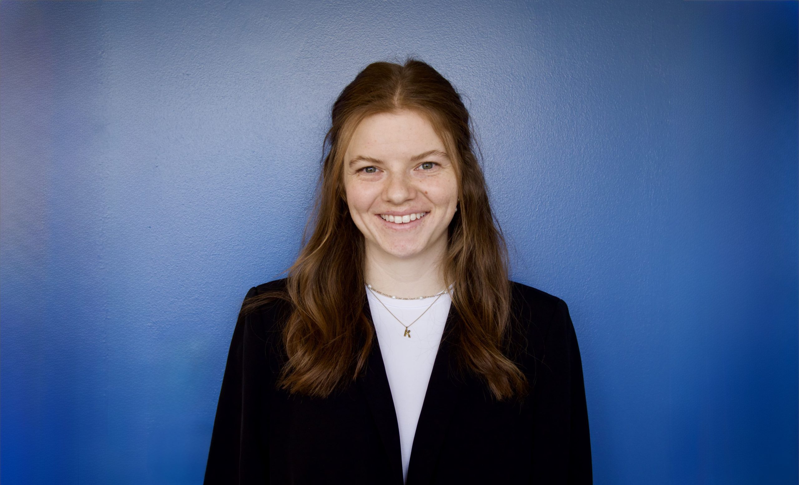 DeBresser Wintrip logo